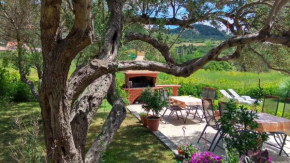 Apartment in Rab/Insel Rab 17563
